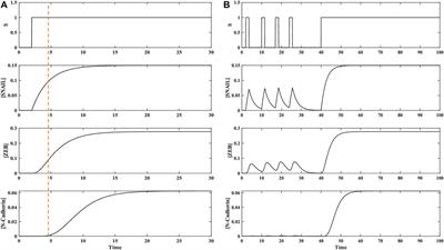 Network motifs and hypermotifs in TGFβ-induced epithelial to mesenchymal transition and metastasis